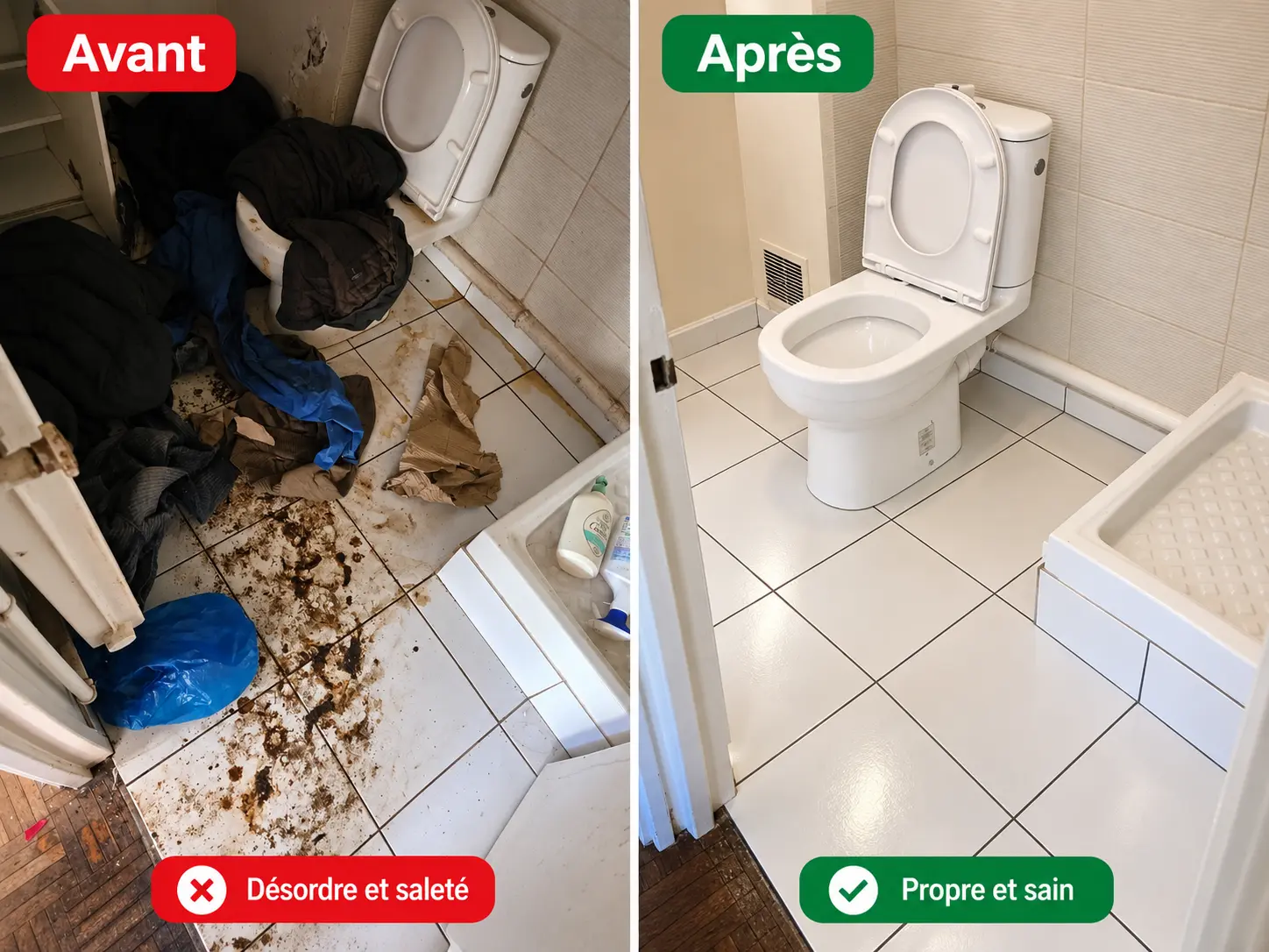 toilette